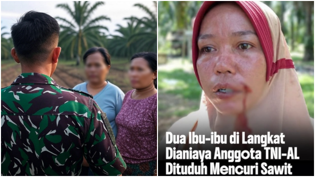 Oknum TNI di Langkat Diduga Aniaya Dua Emak-emak, Dituding Curi Berondolan Sawit