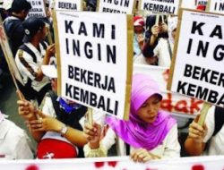 Presiden Perlu Reshuffle Kabinet di Tengah Badai PHK