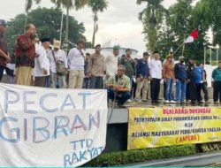 Demokrasi atau Manipulasi: Menelisik Desakan Pemakzulan Wapres Gibran