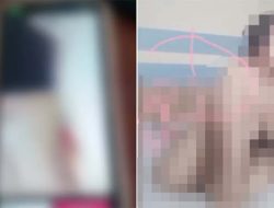 Video Devita Tengger 1 Menit 50 Detik Gegerkan Medsos hingga Muncul Trend 0,5 di TikTok