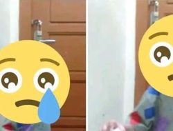 DPR Desak Polisi Tangkap Admin Grup FB Fantasi Sedarah
