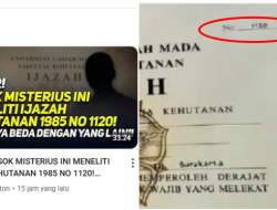 Tiga Ijazah Lulusan 1985 Fakultas Kehutanan UGM Diteliti, Ijazah Jokowi Disebut Tak Identik dengan Dua Lainnya