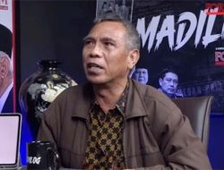 Jokowi Diduga DO dari UGM? Profesor Ini Mengaku Siap Minta Maaf Jika Salah