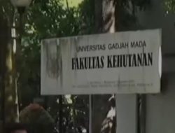 Isu Ijazah Palsu Jokowi Bikin Anak Muda Ogah Kuliah di UGM, Katanya Mirip Universitas Abal-abal di Bangunan Ruko