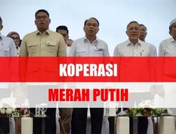 Cara Agar Bisa Jadi Pengurus Koperasi Merah Putih, Dapat Gaji Rp 8 Juta?