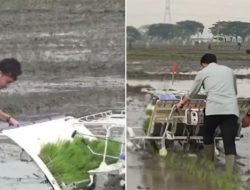Gibran Jajal Alat Tanam Padi di Ngawi tapi Gerakannya Maju, Yang Ditanam Malah Keinjak