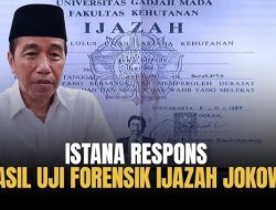 Kajian Politik Merah Putih: Juru Bicara Presiden Prabowo Persis Layaknya Buzzer Jokowi!