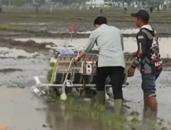 Penjelasan Kementan soal Wapres Gibran Gunakan Alat Tanam Padi Bergerak Maju