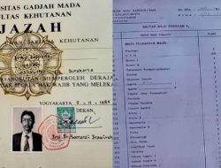 Penuh Nilai C dan D di Transkip Nilai, Terkuak IPK Terakhir Jokowi di UGM, Benarkah Kurang dari 2?