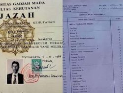 ADA Nilai C dan D di Transkip Nilai, Terkuak Jumlah IPK Jokowi di UGM, Benarkah Kurang dari 2?
