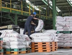 Ada Lagi! BPK Temukan Pemborosan Rp2,9 T Subsidi Pupuk, KPK Diminta Turun Tangan!