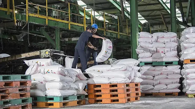 Ada Lagi! BPK Temukan Pemborosan Rp2,9 T Subsidi Pupuk, KPK Diminta Turun Tangan!