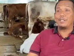 Yang Lain Cari Kerja, Saya Cari Rumput, Sekarang Punya Aset Rp 80 Miliar