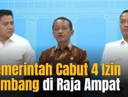 Terungkap! Ini Pejabat Yang Berikan Izin ke Empat Perusahaan Tambang di Raja Ampat