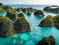 Hipmi Dukung Pemerintah Cabut Empat IUP di Raja Ampat