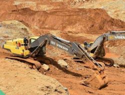 4 Perusahaan Tambang yang IUP Dicabut Bukan Bagian dari APNI