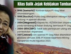 DAFTAR 13 Perusahaan Tambang Nikel di Raja Ampat Punya Hak Spesial Dari Megawati