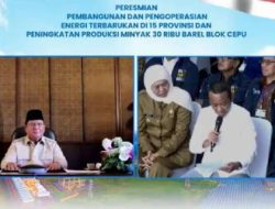 Menuju Swasembada Energi, Prabowo Resmikan Proyek EBT di 15 Provinsi
