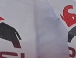 Logo Baru PSI Disebut Netizen Lebih Mirip Celeng