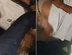 6 Fakta Viral Video Syur Kendari 1 Cewek vs 7 Pria, Pemeran Wanita Mirip Andini Permata?