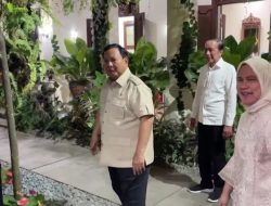 Silaturahmi Politik Prabowo-Jokowi: Antara Simbol Rekonsiliasi dan Bayang-bayang Kekecewaan