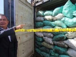 351 Kontainer Batubara Ilegal di IKN: Ada Siapa di Baliknya?