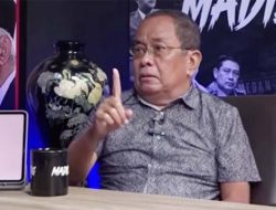 Ngeri! Said Didu Sebut BUMN Jadi Kuburan Massal Profesionalisme, Sindir Penjilat Kini Dapat Jabatan