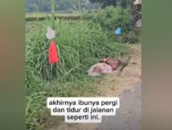 Sempat Telantar Usai Diusir Anak, Ibu Lansia di Probolinggo Dibawa Warga ke Panti Jompo