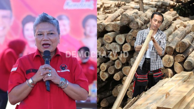 Berapi-Api Ribka Tjiptaning Sebut Tanpa Kudatuli Tak Ada Tukang Kayu Jadi Presiden, Sindir Jokowi?