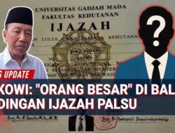 Orang Besar Dituding Jadi Dalang Polemik Ijazah Palsu, Demokrat Semprot Jokowi: Penyakitnya Tambah Parah? Kelihatan Makin Panik!