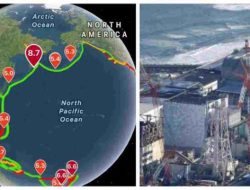 Gempa M 8,8 Guncang Rusia Picu Tsunami, Jepang Tutup Fasilitas Nuklir Fukushima
