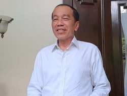 Kebijakan Tom Lembong Disebut Perintah Presiden, Jokowi: Tapi Teknisnya di Kementrian