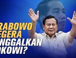TERUNGKAP! Bocoran Amnesti Jilid 2: Prabowo Bakal Ampuni Ratusan Musuh Politik Jokowi, Apa Artinya?