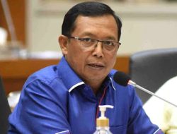 BUMN Pangan Harus Lepas dari Campur Tangan Segelintir Orang