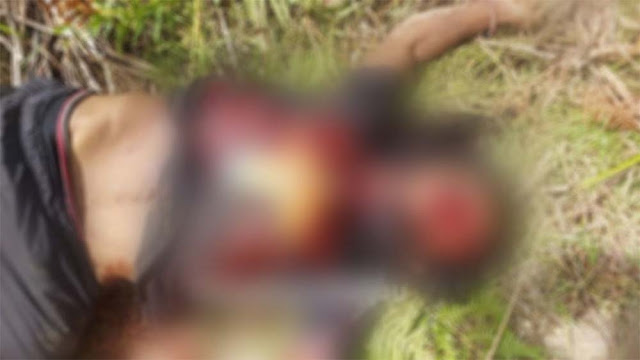 TNI Lumpuhkan 8 Anggota OPM Papua Usai Kontak Tembak Terjadi