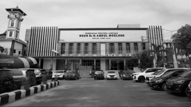 MIRIS! 6 Fakta Mengejutkan Kematian Bayi Alesha Usai Operasi di RSUDAM: Terungkap Dugaan Pungli Dokter Rp8 Juta