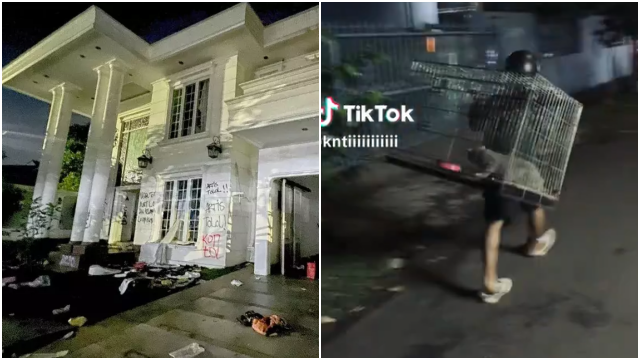 Uya Kuya IKhlas Isi Rumah Dijarah Massa, Sedih Kucing-Kucing Ikut Diangkut