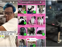 12 Kucing Uya Kuya Dijarah: 8 Sudah Ditemukan, Ada Penjarah Minta Tebusan