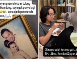Seminggu Setelah Penjarahan, Uya Kuya Masih Sibuk Cari Kucing hingga Foto Pernikahan