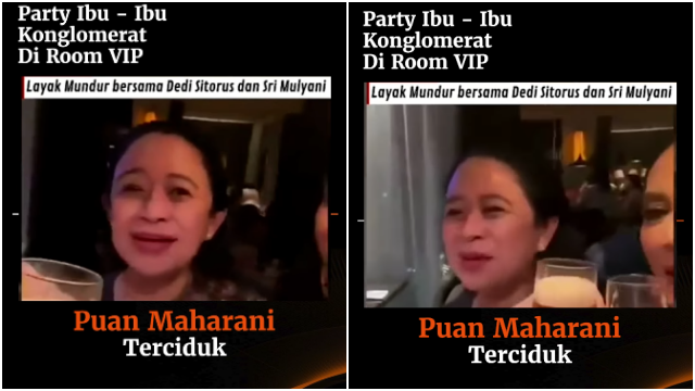 Viral Video Wanita Mirip Puan Maharani Asyik Party Tenteng Gelas, Netizen: Ngebir?