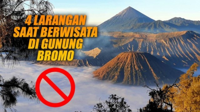 VIRAL Paralayang Tak Boleh Terbang di Bromo, Respons Publik: Sakral atau Takut Ketahuan...