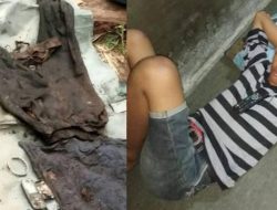 Kejanggalan Penemuan Kerangka Manusia Dalam Pohon Aren, Posisi Kepala di Bawah, Celana Terbalik
