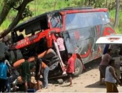 Bus Wisatawan Gunung Bromo Tabrak Rumah, 8 Orang Tewas