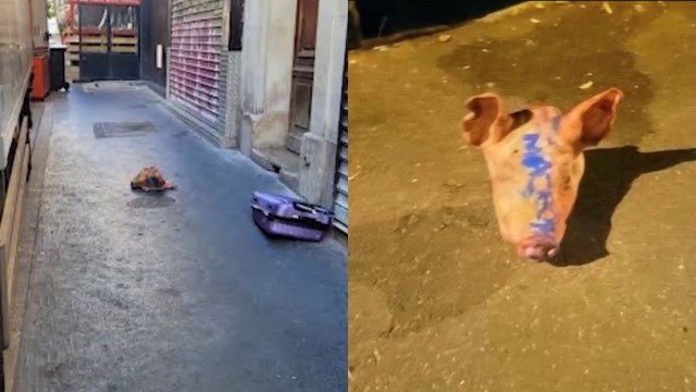 GEGER! Sembilan Kepala Babi Berlumuran Darah Ditaruh di Depan Masjid di Prancis, Ini Dugaan Pelakunya