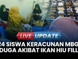 GEGER Menu MBG Ikan Hiu Diduga Bikin Keracunan, BGN Buka Suara: Itu Kearifan Lokal