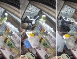 Warkop di Tanah Abang Diserang Geng Motor Bersenjata