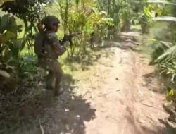Korban Tewas Kontak Tembak di Intan Jaya Capai 14 Orang, Begini Faktanya