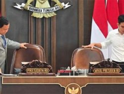 Prabowo vs Gibran: Siapa yang Kinerjanya Lebih Memuaskan Publik?