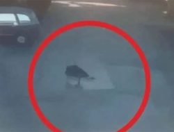 Rekaman CCTV Lompatnya Timothy Anugerah Saputra Viral, Ini Link Versi Fullnya!