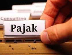 Penerimaan Pajak Digital Tembus Rp42,53 Triliun di 2025, Tumbuh Pesat!